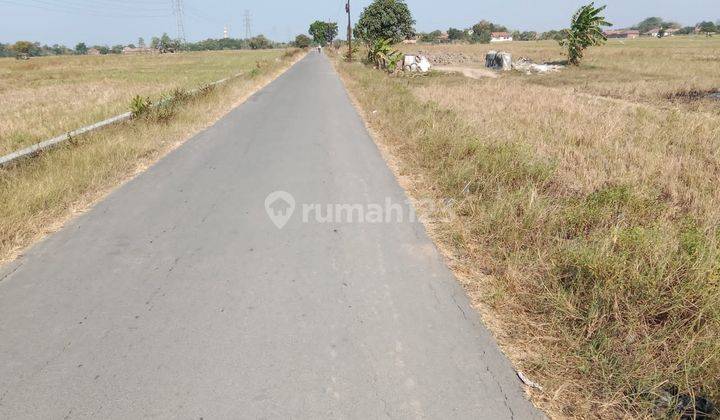 Tanah Strategis di Jalan Raya Harga Murah di Klangenan Cirebon Jawa Barat 2