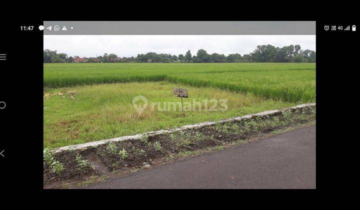 Tanah Strategis di Jalan Raya Harga Murah di Klangenan Cirebon Jawa Barat 1