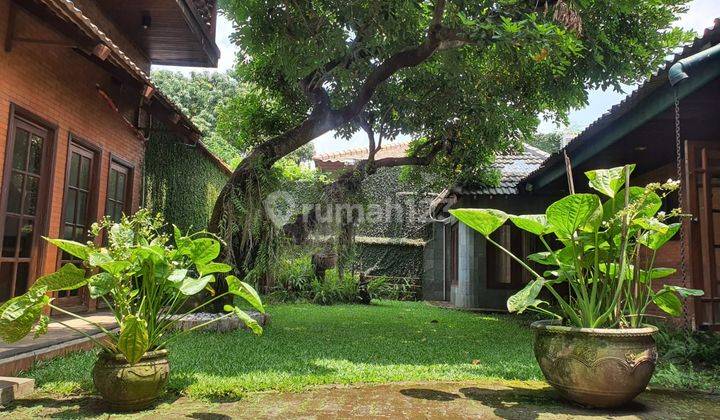 Rumah Tinggal Asri di Cipete 1