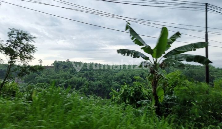 Tanah pertanian di sukajadi taman sari bogor surat lengkap dan clear Tanah pertanian di sukajadi taman sari bogor surat lengkap dan clear