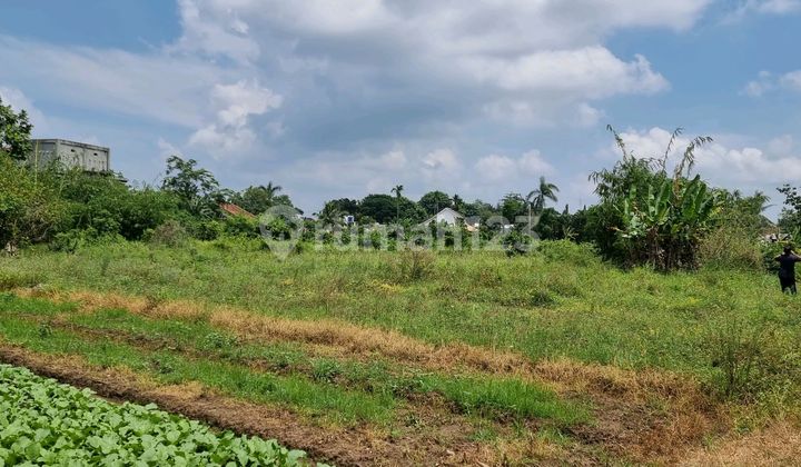 Tanah Di Jalan Raya Campang Sukabumi Lampung Tanah Di Jalan Raya Campang Sukabumi Lampung