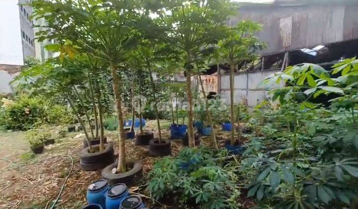 Kavling Di Gunung Sahari Dijual Dibawah Harga NjOP 2