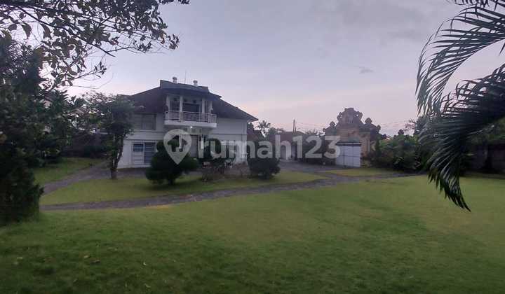 Commercial Area For Rent in Mertanadi, Kuta, Bali