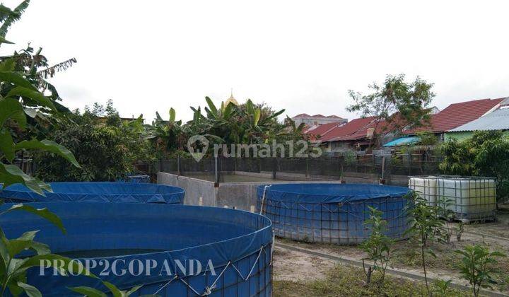 Tanah 486 m² SHM Bekas Kolam  2