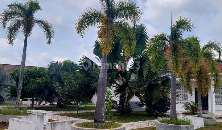 Rumah Premium 2 Lantai ,5 Menit Ke Walikota Tenayan Raya 60