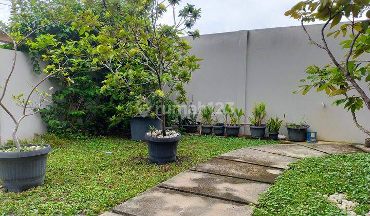 Rumahtype 170 di Jual Cepat Tanah 242 Lokasi di Jl Paus Nangka 3