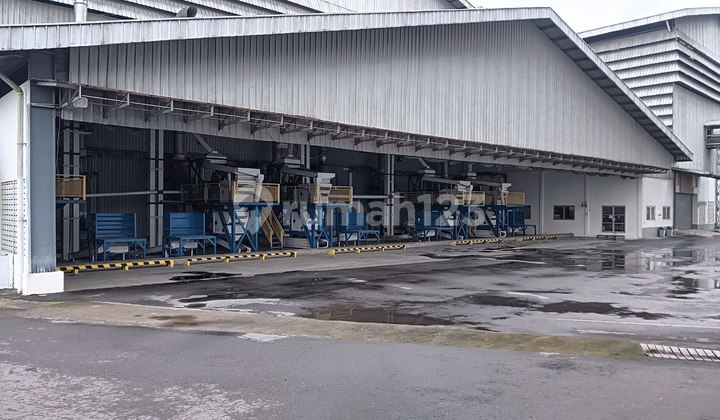 Rice Mill Factory Area 73418.0 M² in Masaran Strategic Location (Yes) Rice Mill Factory Area 73418.0 M² in Masaran Strategic Location (Yes)