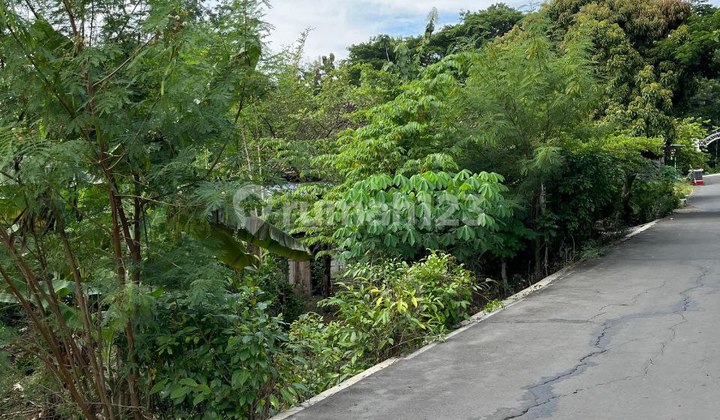 Tanah Luas Strategis Tepi Jalan Raya Solo Gemolong Harga Murah