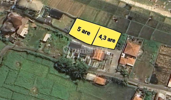 Beautiful Plot of Land in Villa Cemagi - Canggu 1