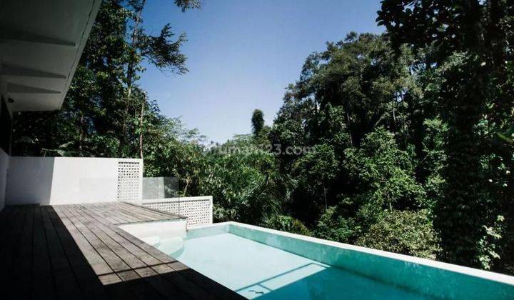 Beautiful villa with 6 floors jungle view and river 1