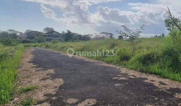 Beautiful Land View Rice Fields And Ocean Seseh Beach - Canggu 2