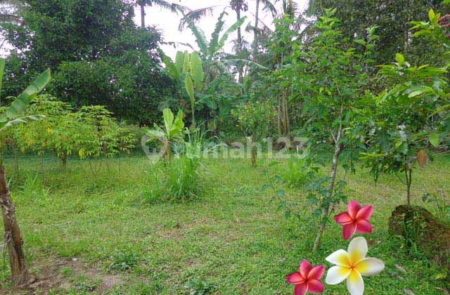 JTU 1070, Tanah di Tegallalang-bali luas 3000m2 cocok investasi