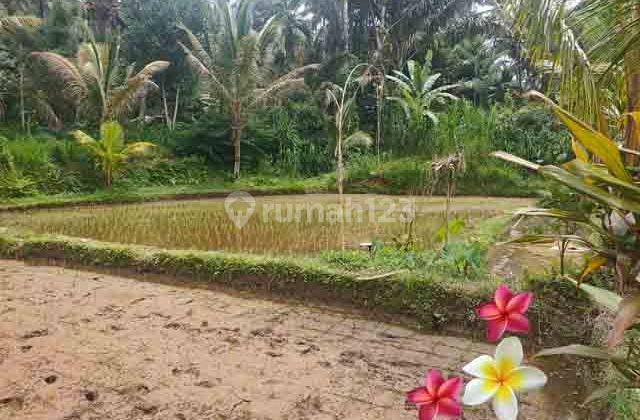 JTU 1214, 19 Are Vacant Land Suitable for Investment in Tegallalang 1