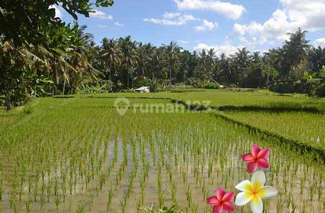 Jtu 945, Land in Ubud Area 15 Are Suitable for Private Villa 1