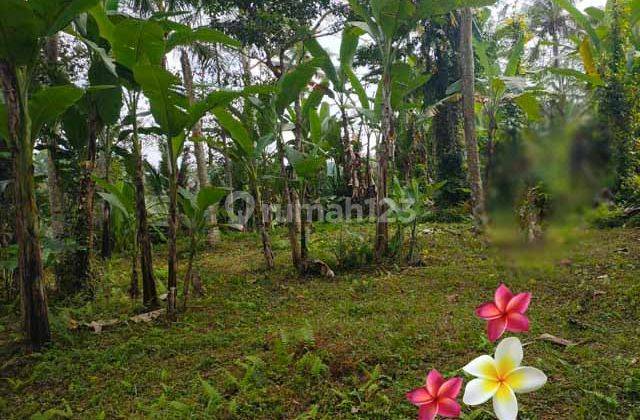 Jtu 1115, Tanah View Tebing Luas 10 Are Cocok Villa Ditegallalang