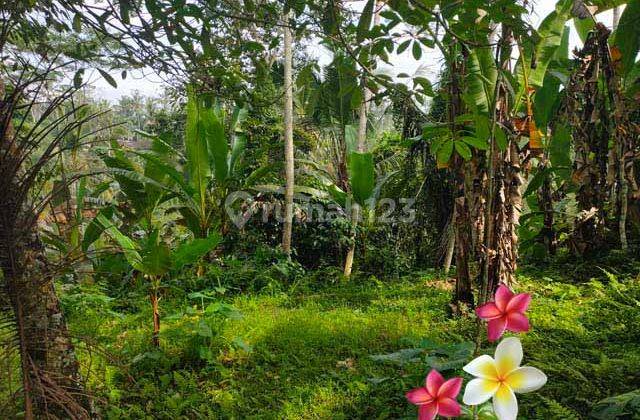 Jtu 1115, Tanah View Tebing Luas 10 Are Cocok Villa Ditegallalang
