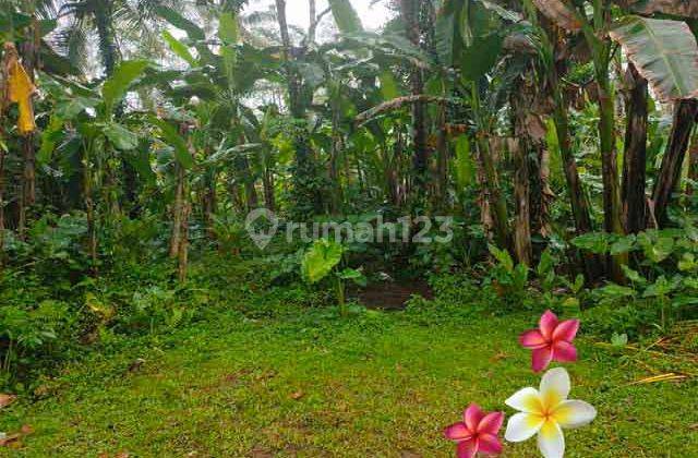 Jtu 1146, Tanah View Tebing Cocok Villa Komersil Luas 20 Are 1