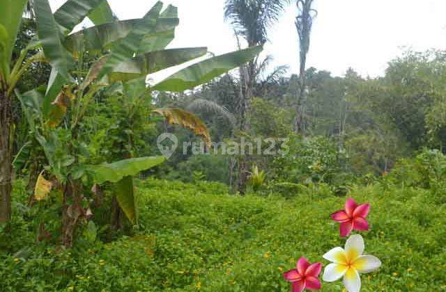 Jtu 1004, Tebing View Land is suitable for investment covering an area of 40 acres in Bali 1