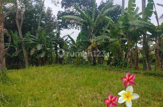 Jtu 1173, Land Suitable for a 14 Are Villa in Pejeng Bali View Sawah 1