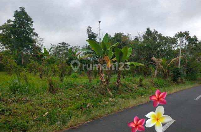 Jtu 1195, 8 Are Roadside Land Suitable for Investment in Bali 1