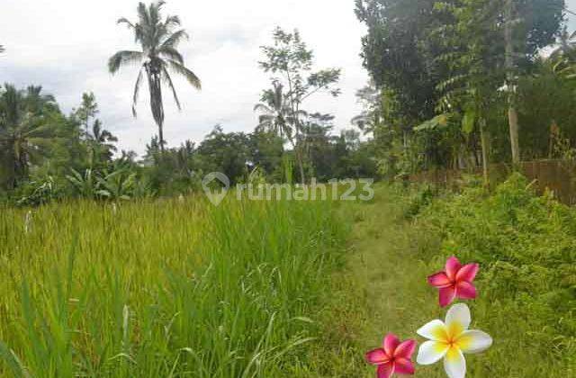 Jtu 1000, Tebing View Land in Tegallalang Area 35 Are Suitable for Villa 1