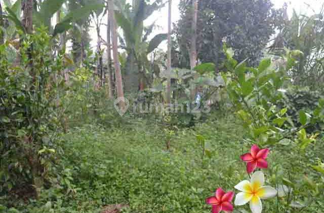 Jtu 1041, 40 Are Land in Tegallalang Bali Suitable for Investment 1