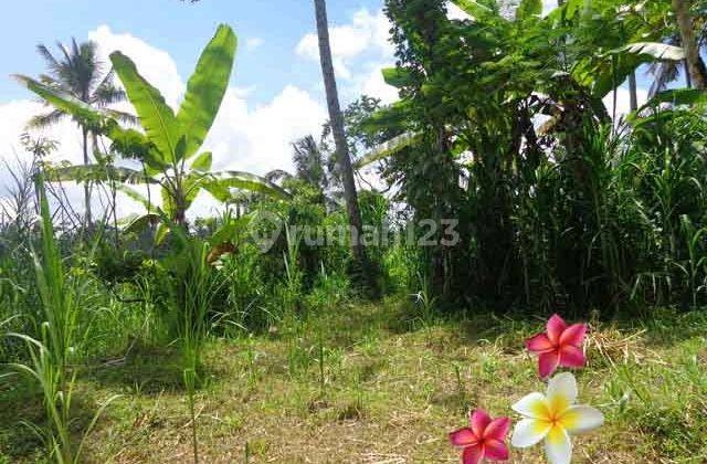 Jtu 920, Tebing View Land in Tegallalang 59 Are Suitable for Investment 2