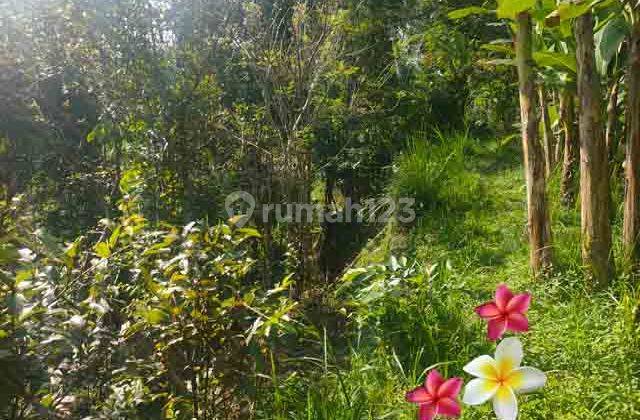 JTU 1240, land with a view of rice fields in Tegallalang, Bali, covering an area of 28 acres 2