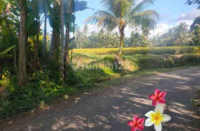 JTU 1240, land with a view of rice fields in Tegallalang, Bali, covering an area of 28 acres 1