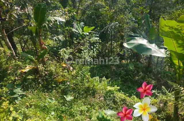 JTU 1238, 17 acres of land suitable for building a villa in Tegallalang 2