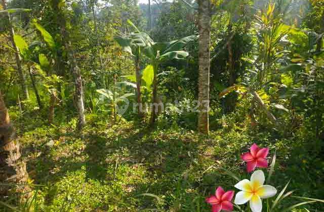 JTU 1238, 17 acres of land suitable for building a villa in Tegallalang 1