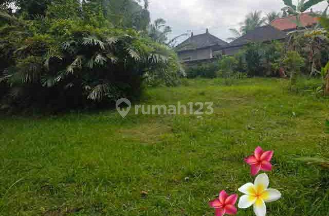 jtu 1236, land around villa suitable for villas & investment covering an area of 33 acres 2