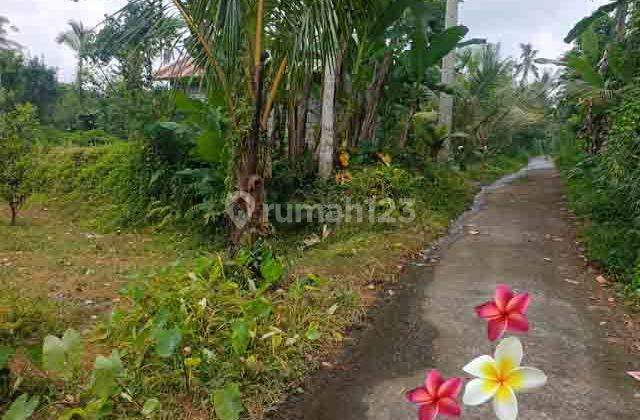 jtu 1224, suitable to build a villa on 58 acres of land in Tegallalang 1