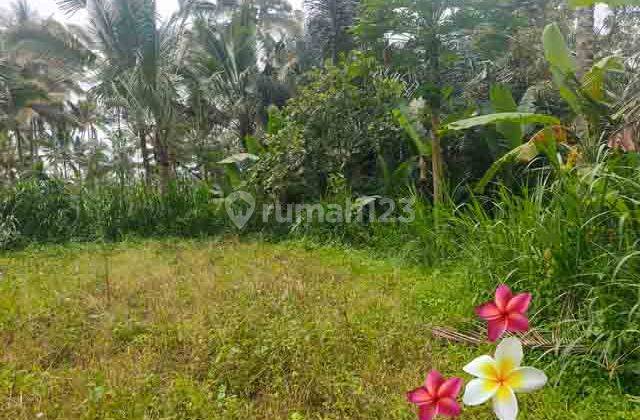 jtu 1214, tanah luas 19 are view sawah di tegallalang bali 2