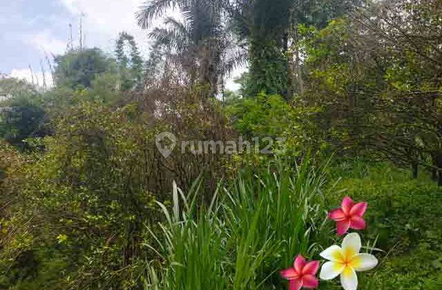 Jtu 1224, 38 Are Cliff View Land in Tegallalang Bali 1