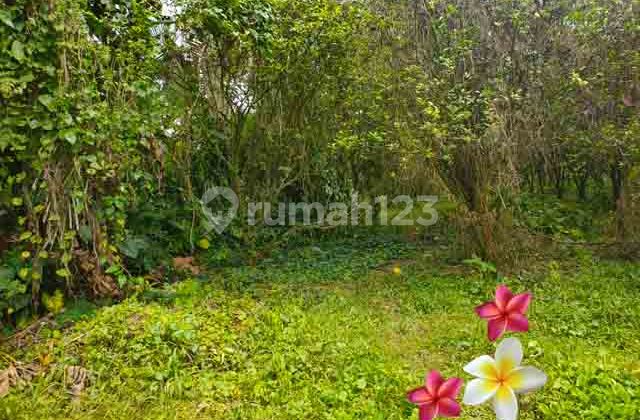 Tanah, di Ubud-Tegallalang Luas 58 Are Cocok Villa (Jtu 1224)