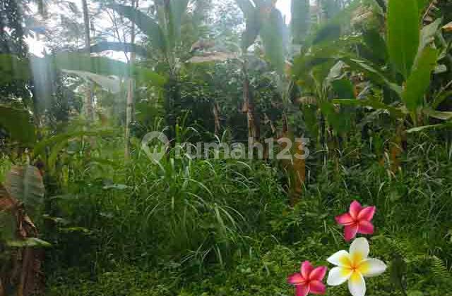 Tanah Tegallalang-Bali Luas 8 Are Bersebehan Dg Villa (Jtu 1206)