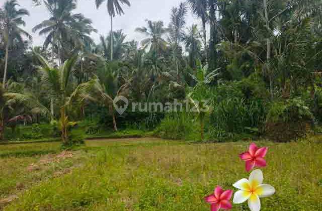 JTU 1214, 19 Are Vacant Land Suitable for Investment in Tegallalang 2