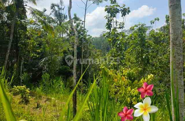 Jtu 1222, Tanah Cocok Resort Seluas 100 Are di Tampaksiring Bali 2