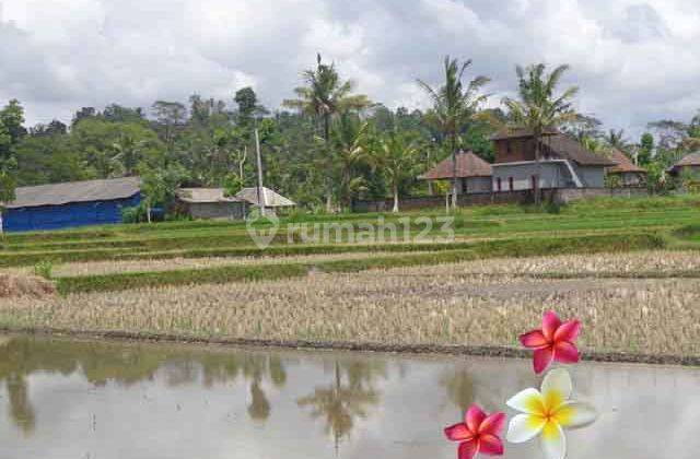 Jtu 1020, Tanah Cocok Villa Luas 10 Are di Tampaksiring Bali 1