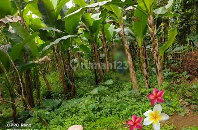 Jtu 966, 45 Are Land in Payangan Bali Suitable for Villa 2