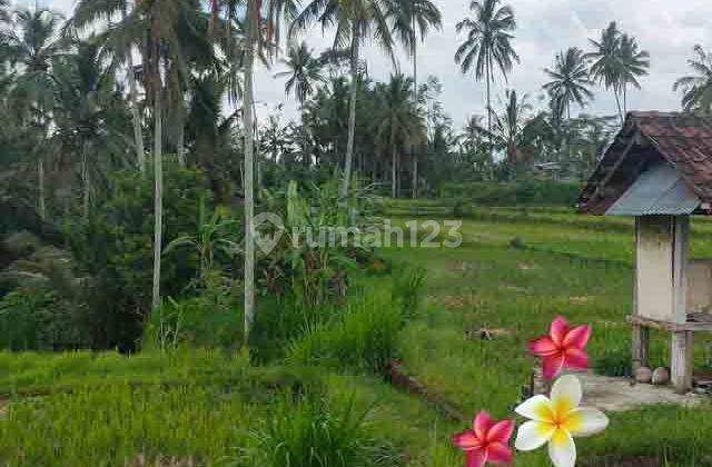 JTU 1216, Land Suitable for Tourist Accommodation with an Area of 10 Are in Bali 1