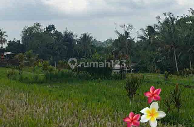 JTU 1216, Land Suitable for Tourist Accommodation with an Area of 10 Are in Bali 2