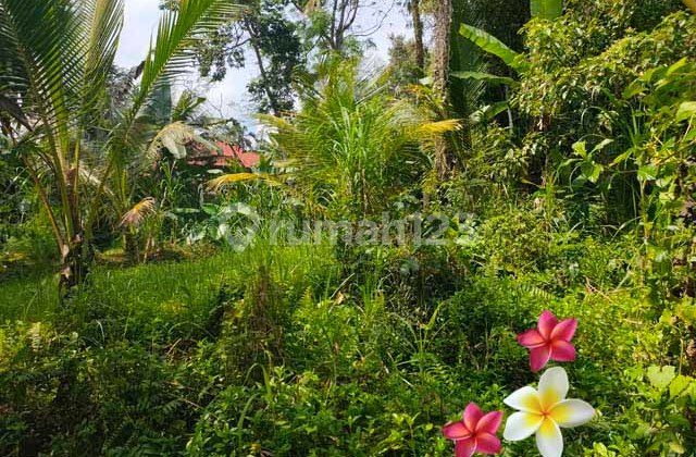 Tanah di Tegallalang-Bali Luas 10 Are Cocok Investasi (Jtu 1121)