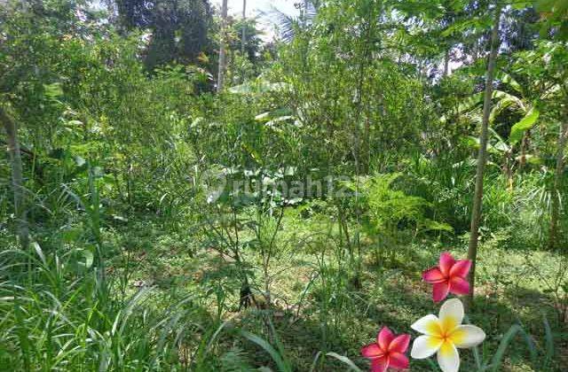 JTU 920, land suitable for villas, 59 are in Tegallalang, Bali 2