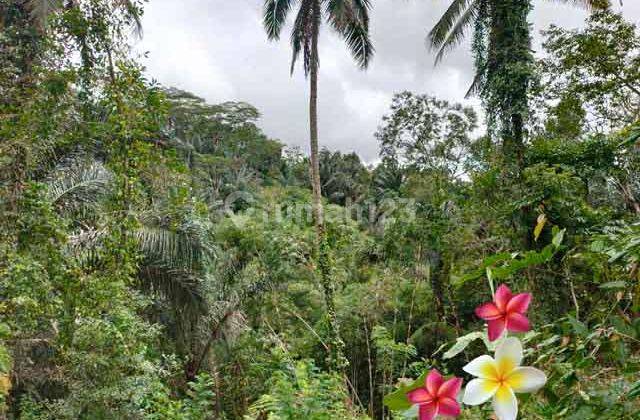 Jtu 1150, Tanah View Tebing Cocok Villa Luas 150 Are di Bali 1