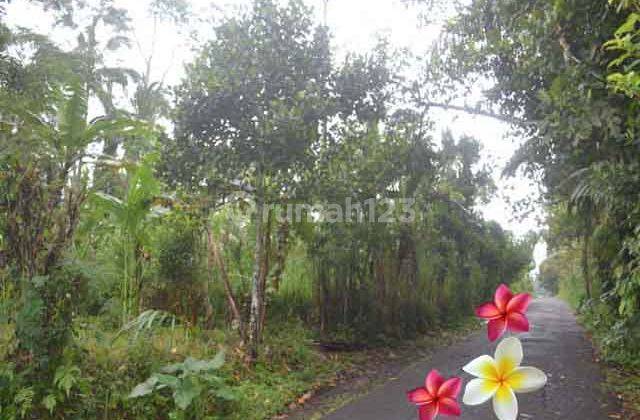 Jtu 1206, Land Suitable for Villas, 8 Are Area in Tegallalang, Bali 2