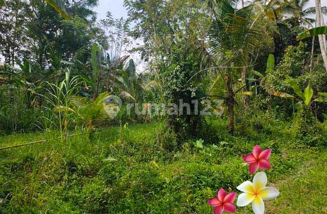 Tanah, di Tegallalang Luas 10 Are (Jtu1121) Cocok Invetasi