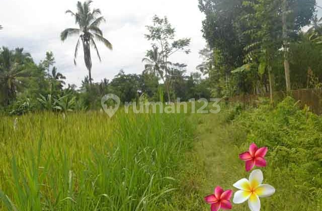 jtu 1000, tanah di tegallalang-bali luas 3500 m2 cocok investasi