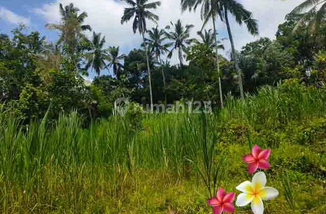 Jtu 1222, Tanah Cocok Resort Seluas 100 Are di Tampaksiring Bali 1